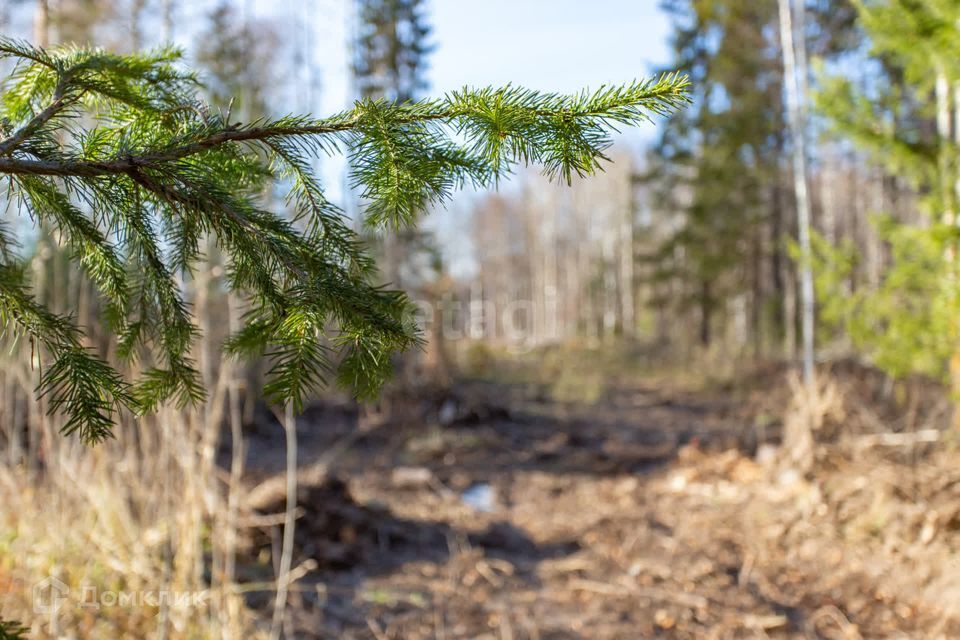 земля г Тобольск Ершовка, Тобольск городской округ фото 4