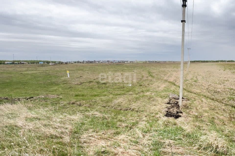 земля р-н Березовский фото 2