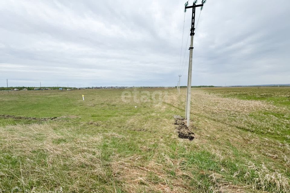 земля р-н Березовский фото 4