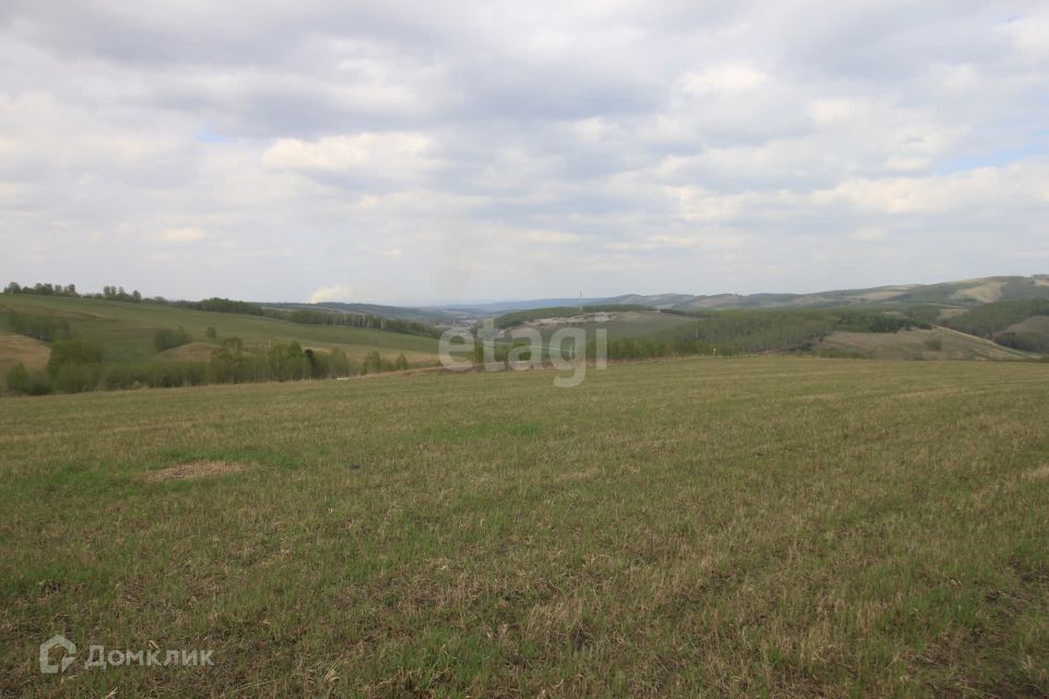 земля г Красноярск р-н Октябрьский Красноярск городской округ, СНТ Дружба фото 2