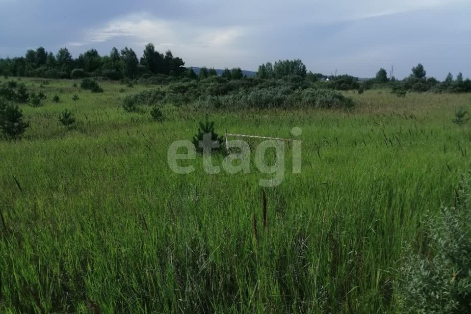 земля г Красноярск р-н Октябрьский Красноярск городской округ, СНТ Дружба фото 2