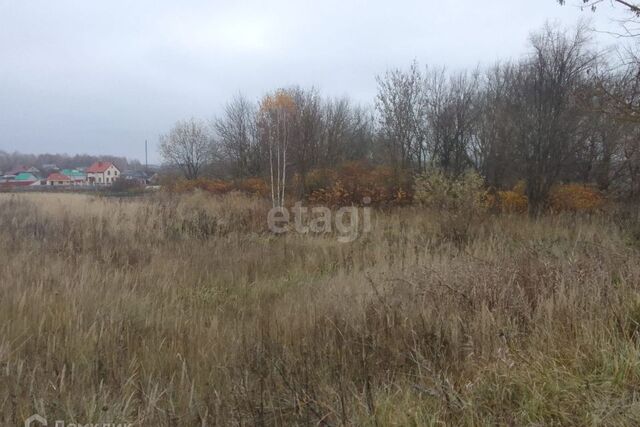 земля р-н Выгоничский д Скрябино ул Молодежная фото