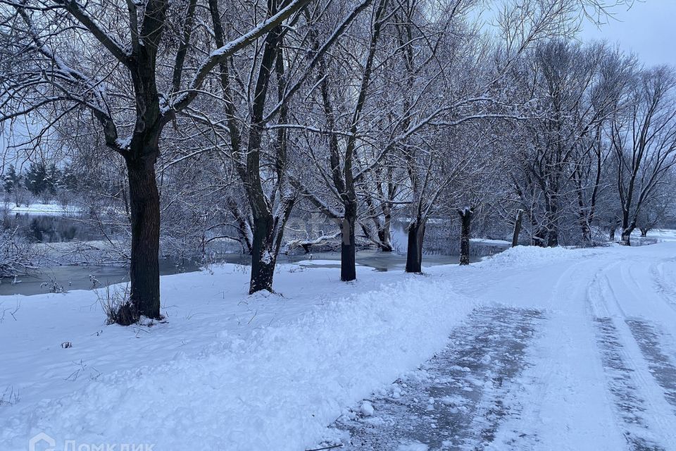 земля р-н Брянский Супонево фото 1