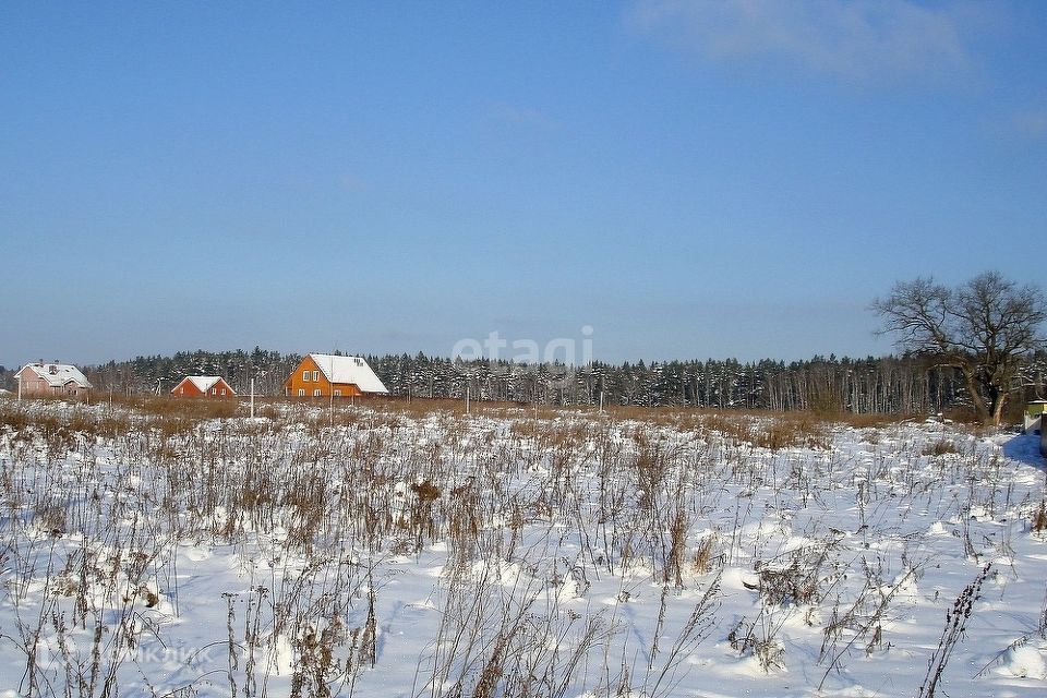 земля р-н Брянский Мичуринский фото 1