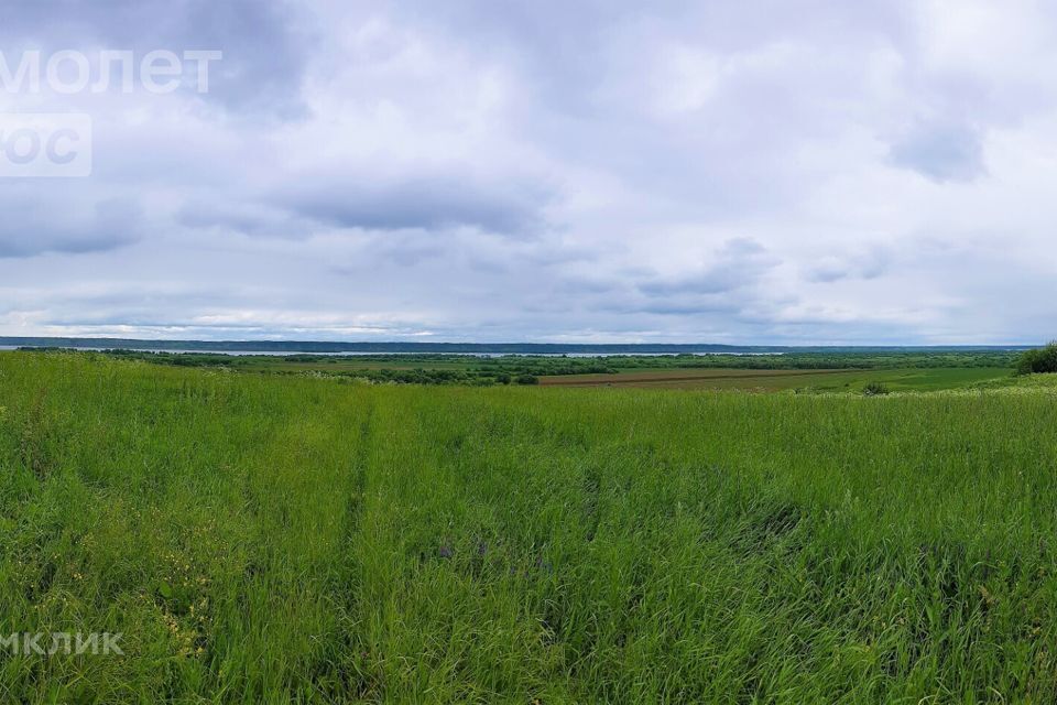 земля р-н Холмогорский Хомяковская фото 1