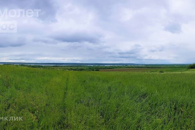 Хомяковская фото