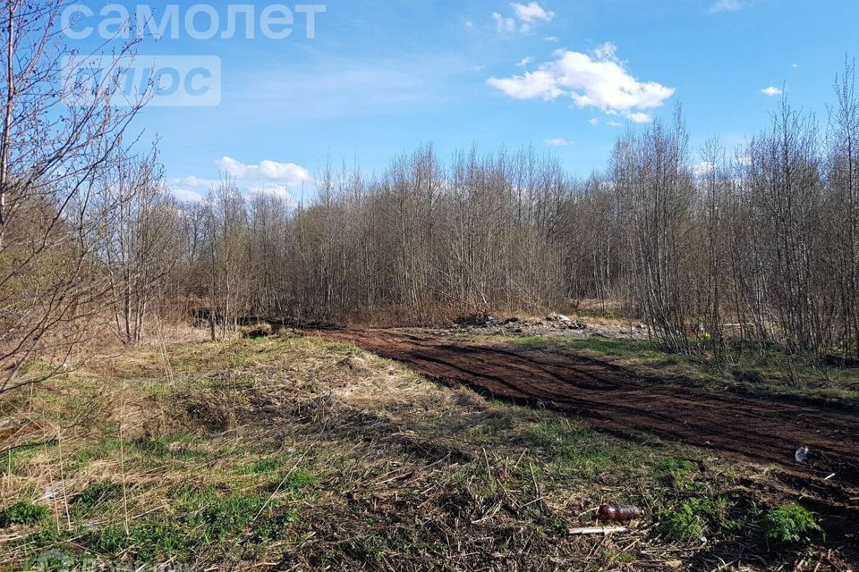 земля г Архангельск р-н Маймаксанский округ городской округ Архангельск, Остров Повракульский фото 1