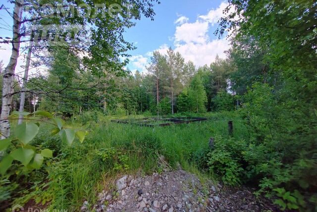 земля городской округ Архангельск, СНТ Ваганиха фото