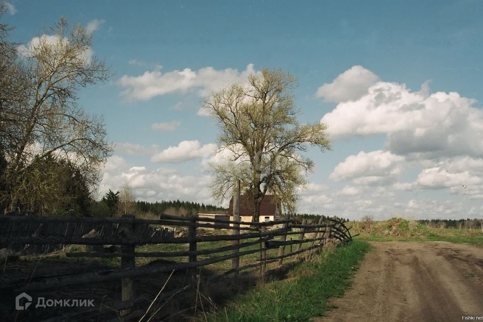 земля р-н Мосальский Людково фото 2