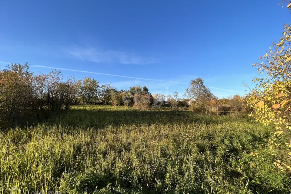 земля г Йошкар-Ола Йошкар-Ола городской округ, СНТ Надежда фото 3