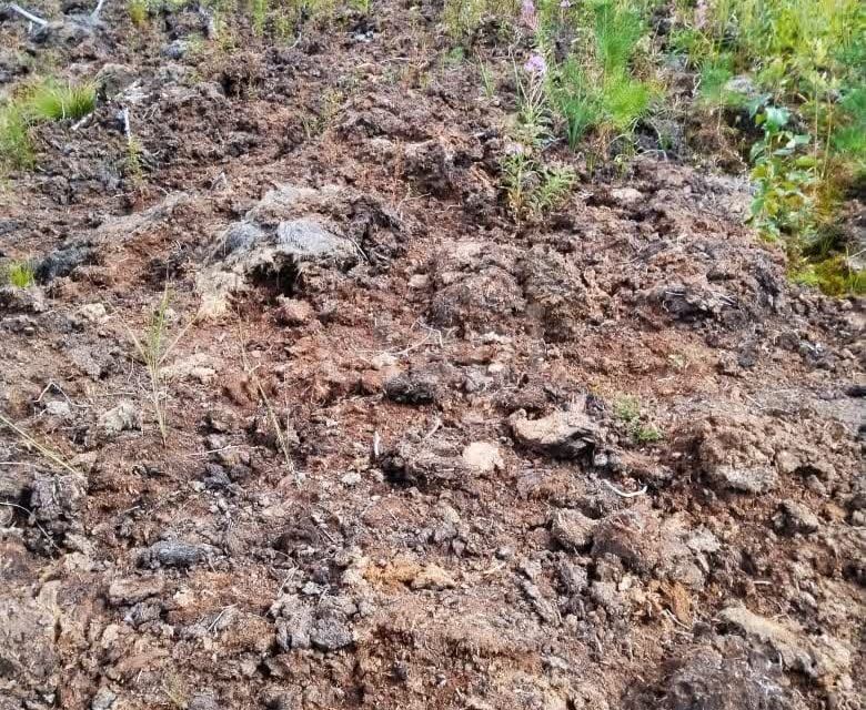 земля г Нижневартовск ДНП Мега-Плюс, Нижневартовск городской округ фото 4