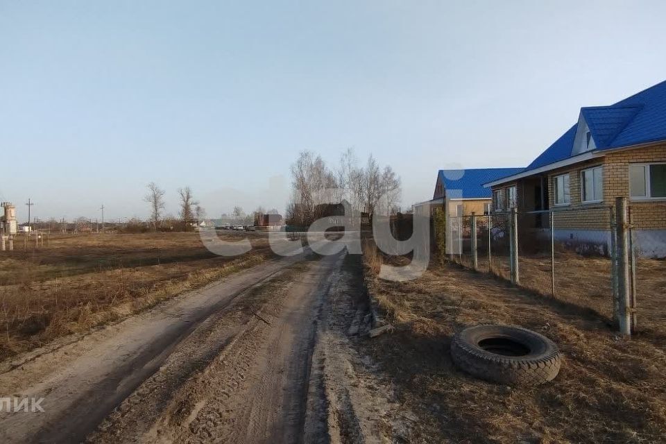 земля р-н Навлинский п Синезерки ул Лесная Синезёрское сельское поселение фото 2