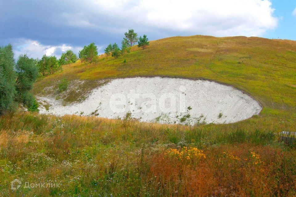 дом р-н Трубчевский Острая Лука фото 3