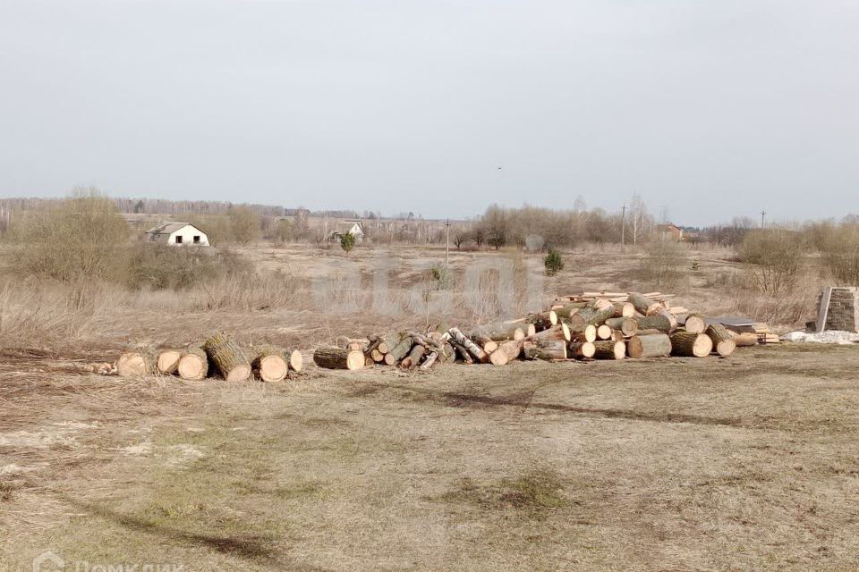 земля р-н Брянский СДТ Радуга-1, 124 фото 3