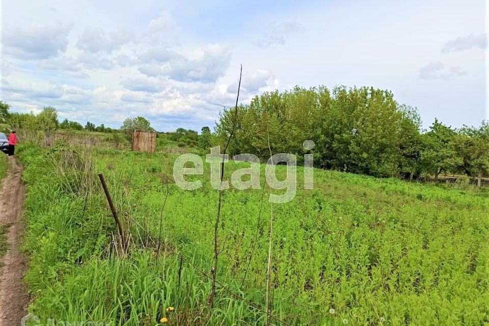 земля р-н Брянский с Толмачево СТ Здоровье фото 4