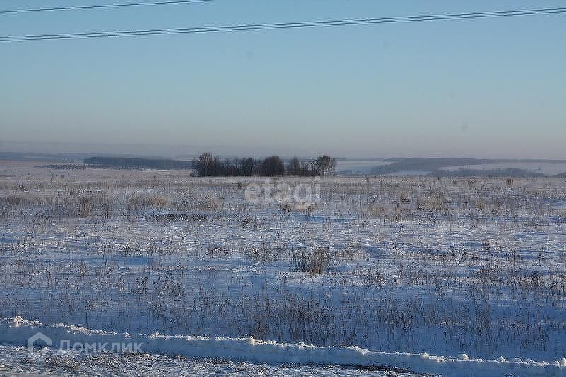 земля р-н Брянский Мичуринский фото 4