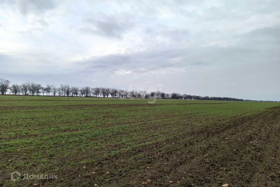 земля р-н Черноморский с Межводное ул Приморская Межводненское сельское поселение фото 4