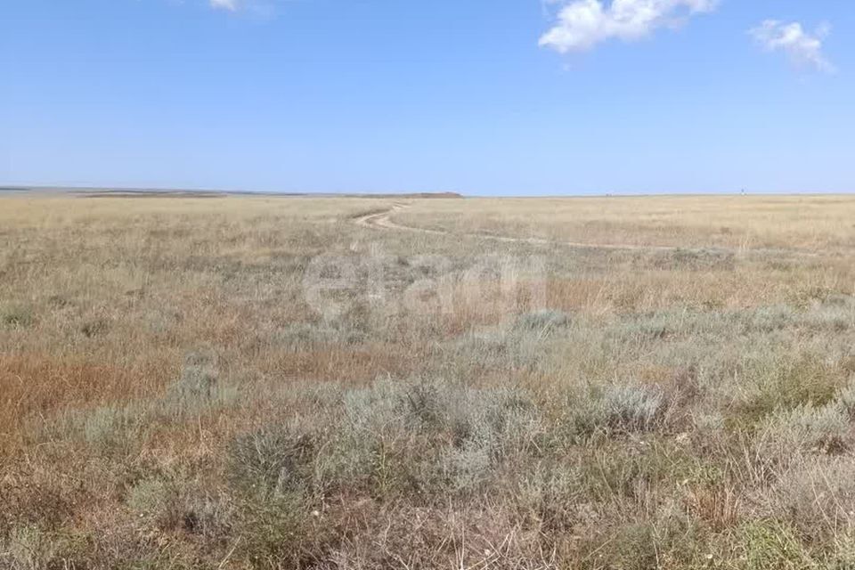 земля р-н Сакский с Штормовое ул Виноградная Штормовское сельское поселение фото 3