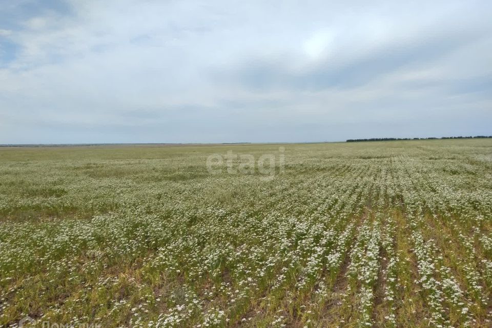 земля р-н Сакский фото 2