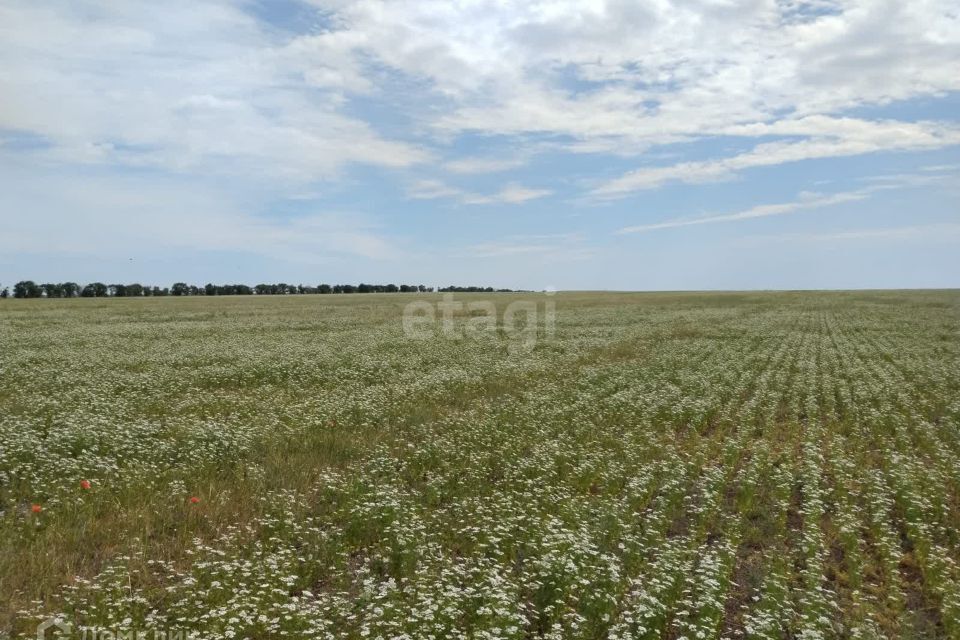 земля р-н Сакский фото 3