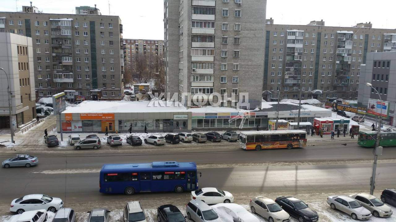 квартира г Новосибирск метро Площадь Гарина-Михайловского р-н Железнодорожный ул Челюскинцев 15 фото 21