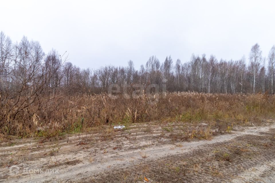 земля р-н Нижнетавдинский снт Сундукульский разрез фото 5