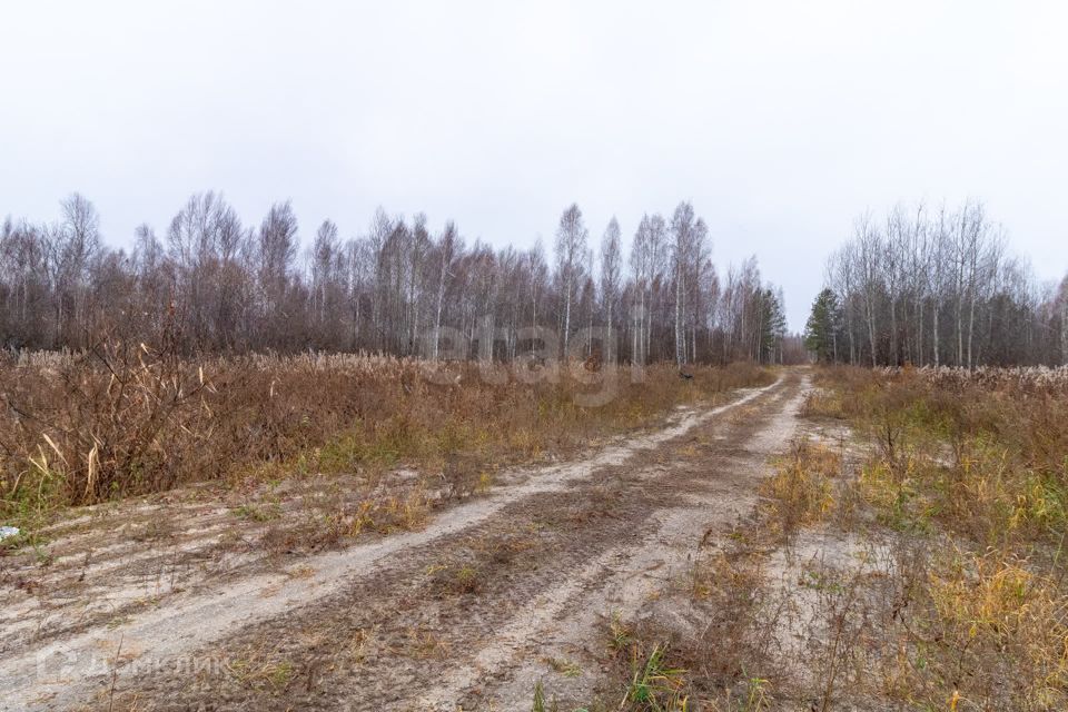 земля р-н Нижнетавдинский снт Сундукульский разрез фото 6