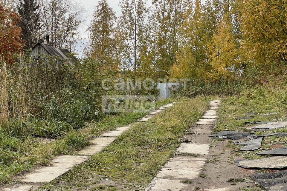 земля Северодвинск городской округ, СНТ Космос-1 фото 8