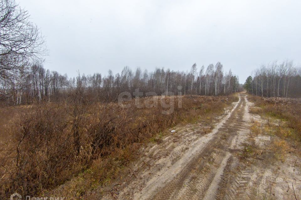 земля р-н Нижнетавдинский снт Сундукульский разрез фото 7