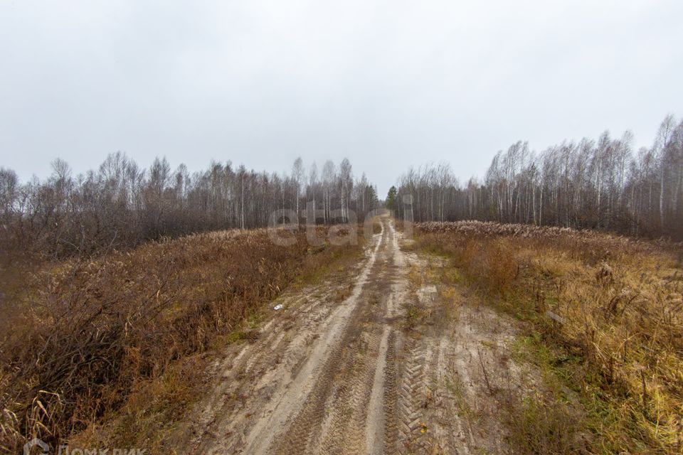 земля р-н Нижнетавдинский снт Сундукульский разрез фото 8