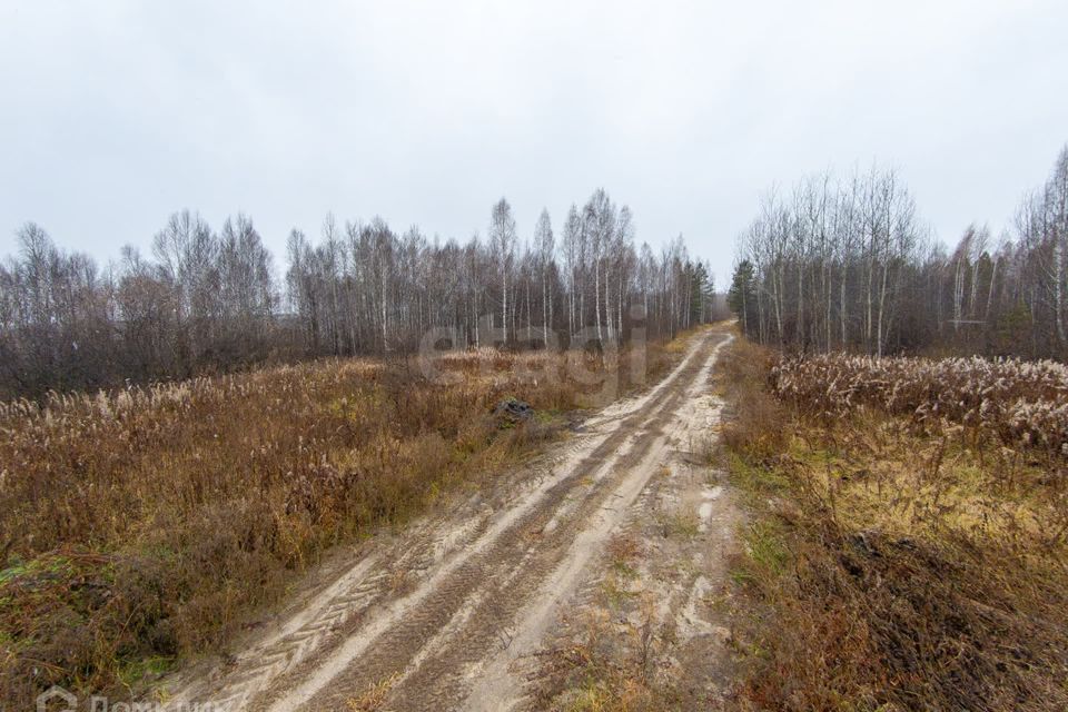 земля р-н Нижнетавдинский снт Сундукульский разрез фото 9