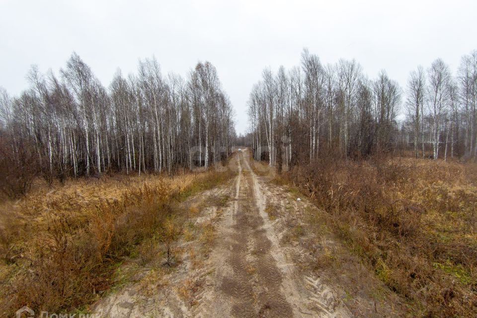 земля р-н Нижнетавдинский снт Сундукульский разрез фото 10