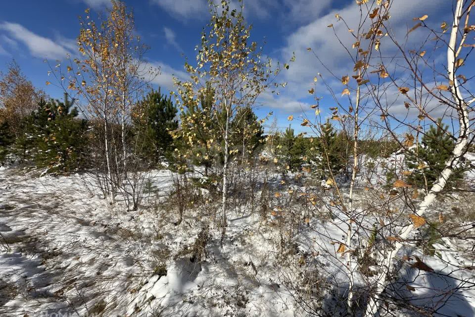 земля р-н Тюменский с Кулига Кулига-2 фото 9