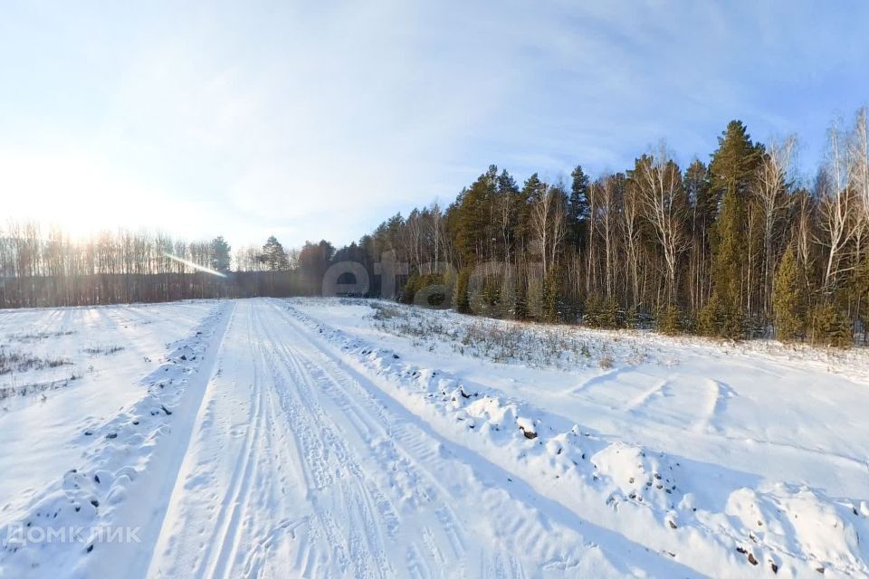 земля р-н Тюменский д Посохова Полевая фото 9