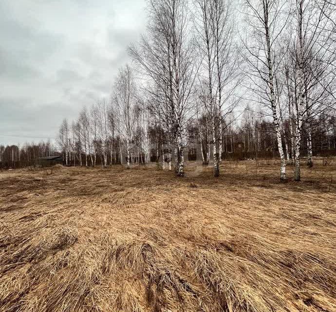 земля Переславль-Залесский городской округ, Троицкое фото 6