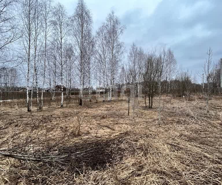 земля Переславль-Залесский городской округ, Троицкое фото 7