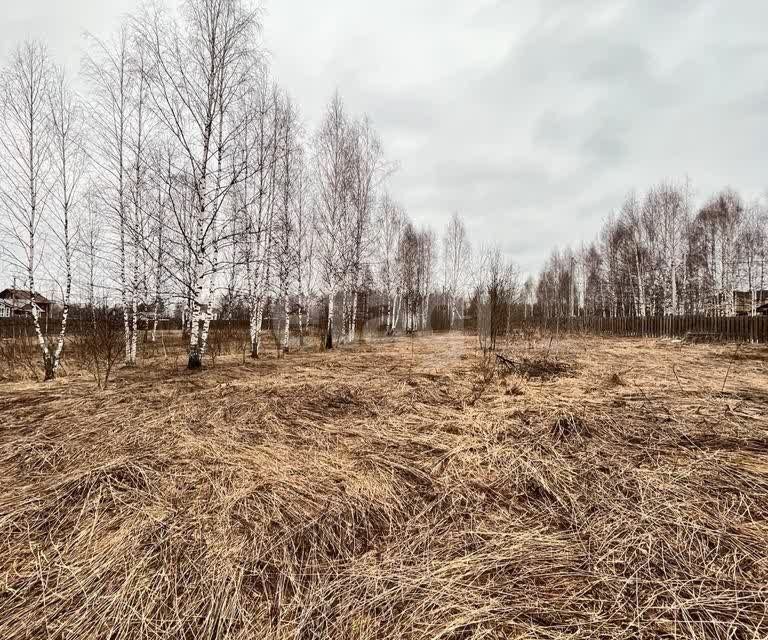 земля Переславль-Залесский городской округ, Троицкое фото 10