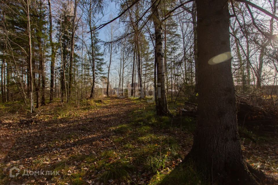 земля г Тобольск Ершовка, Тобольск городской округ фото 6