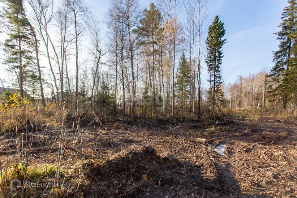 земля г Тобольск Ершовка, Тобольск городской округ фото 8