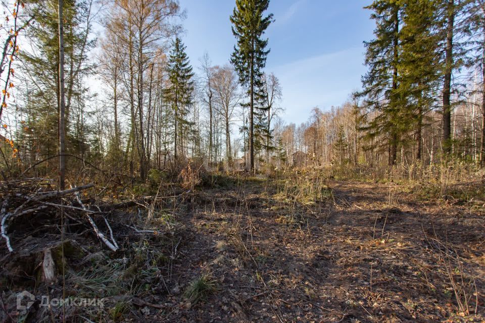 земля г Тобольск Ершовка, Тобольск городской округ фото 9