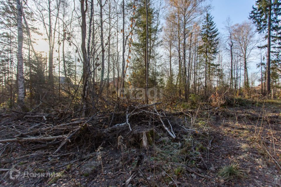 земля г Тобольск Ершовка, Тобольск городской округ фото 10