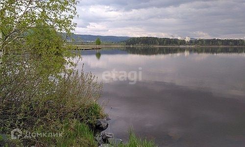 дом ЗАТО Железногорск городской округ, Железногорск фото 10