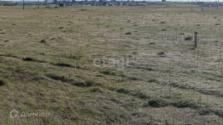 земля г Красноярск р-н Октябрьский Красноярск городской округ, СНТ Дружба фото 6