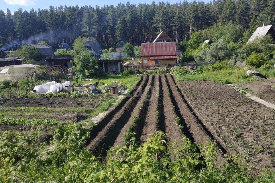 дом ЗАТО Железногорск городской округ, СТ 8, Счастливая улица, 22 фото 7