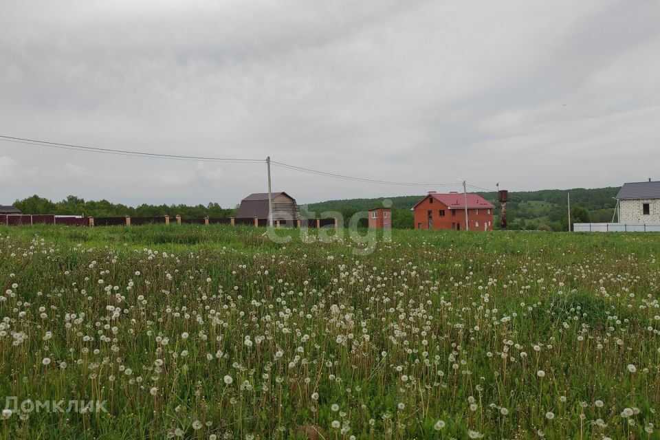 земля Калуга городской округ, Починки фото 6