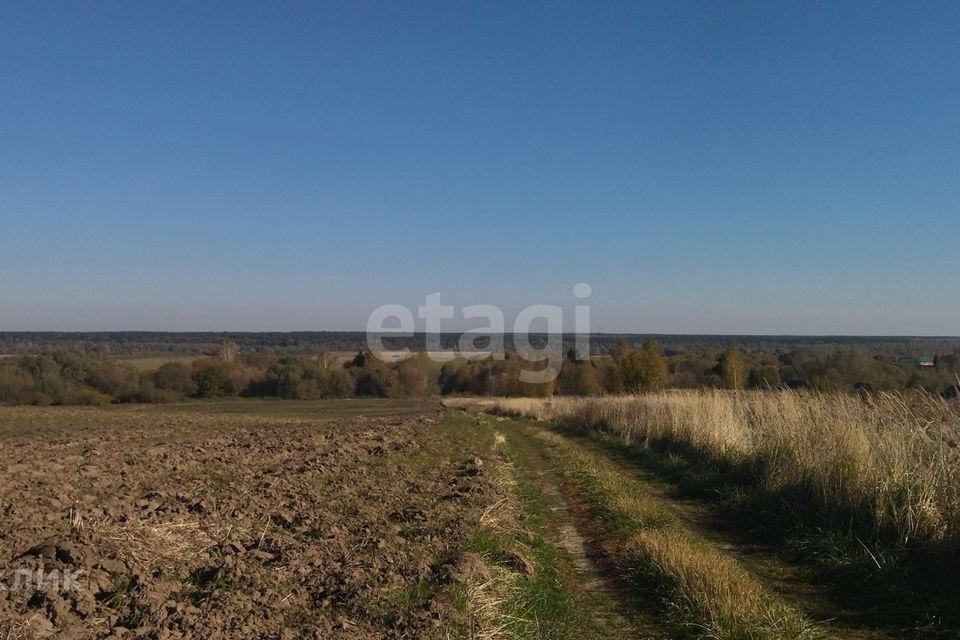 земля р-н Жуковский Овстуг фото 6