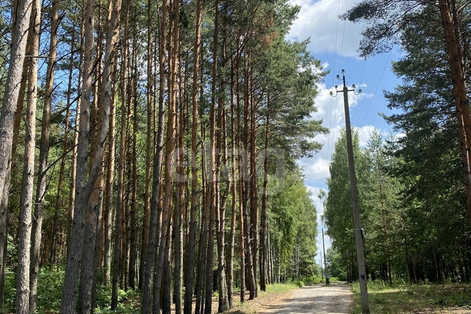 земля р-н Погарский пгт Погар ул Веркеевка фото 7