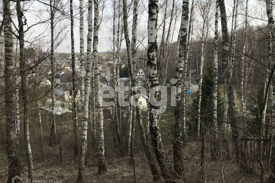 дом г Брянск рп Радица-Крыловка Бежицкий район Бежичи, Брянск городской округ фото 7