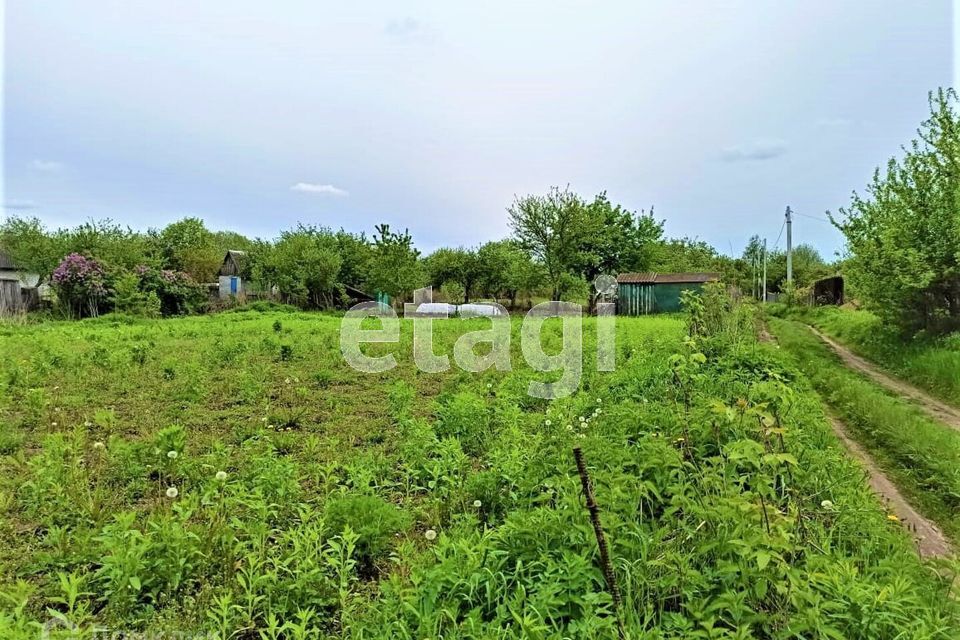 земля р-н Брянский с Толмачево СТ Здоровье фото 6