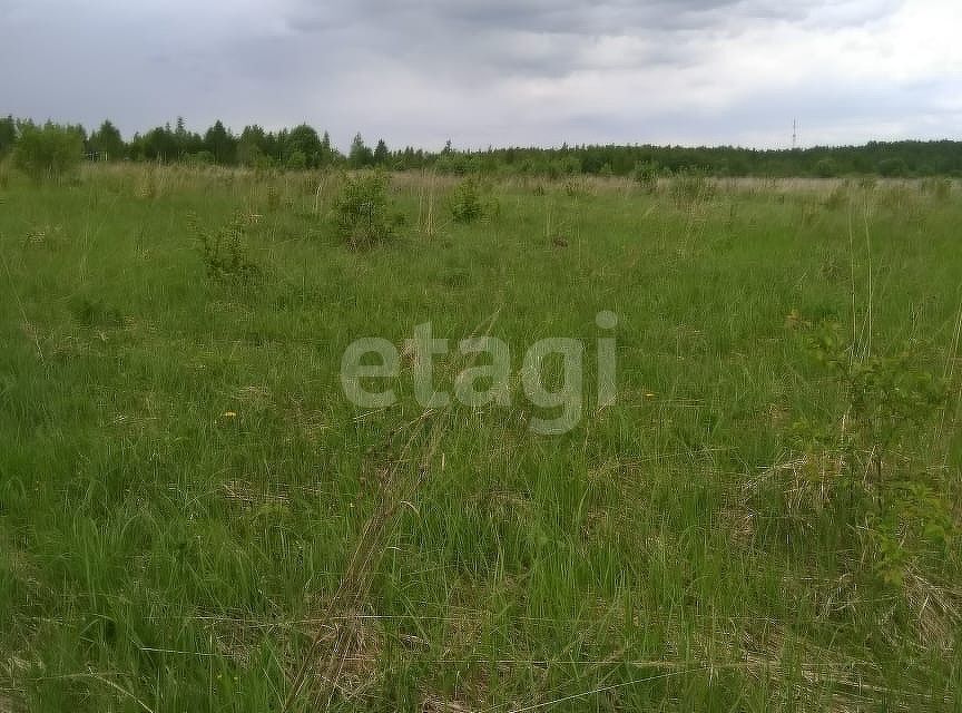 земля Калуга городской округ, Берёзовка фото 5